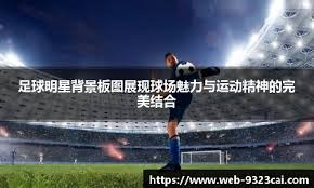 [羽毛球]安洗莹夺得女单金牌